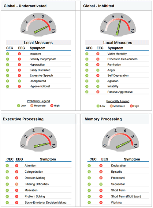 A more detailed analysis of the brain is provided in this section. Specific measures such as impulsiveness, Aggression, Focus, Motivation, Memory processing and much more is detailed in this section. The information displayed shows the map results and the results of the online questionnaire that each person fills out prior to their brain map.