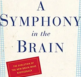 A Symphony in the Brain