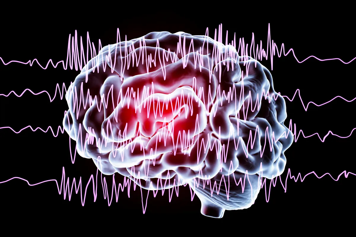 Optimal Brain Function Naturally