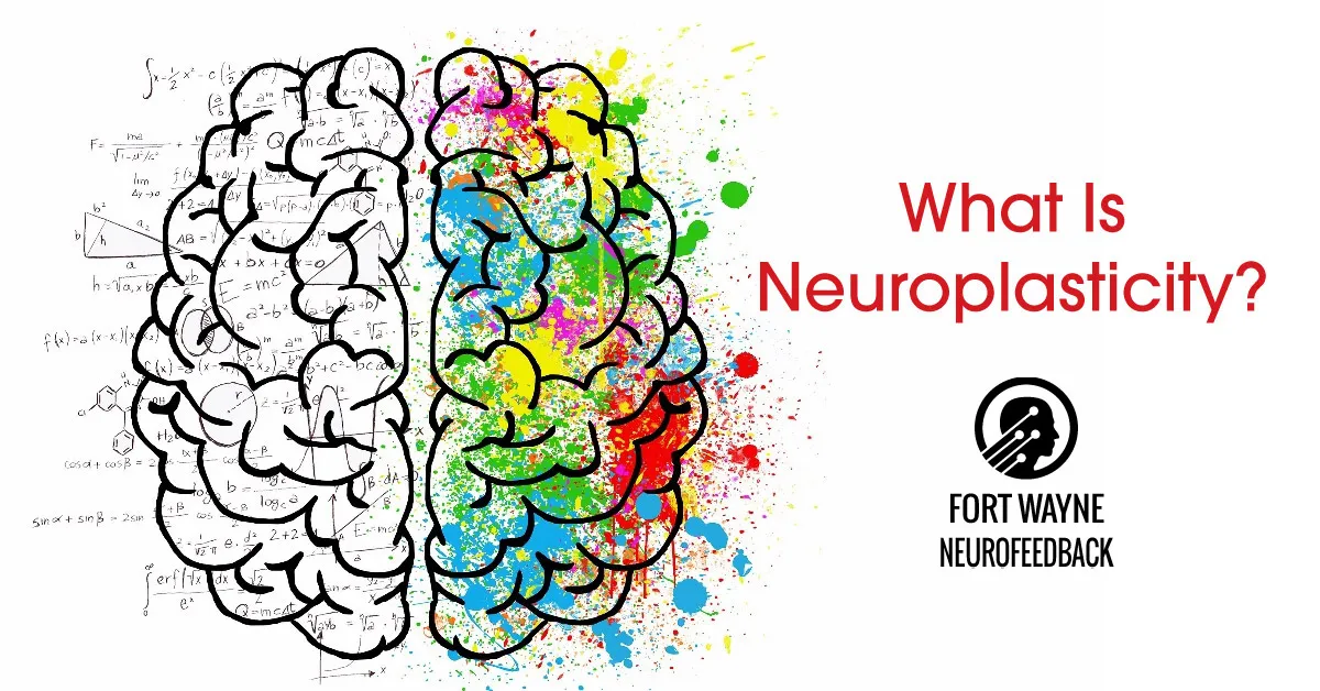 Understanding Neuroplasticity